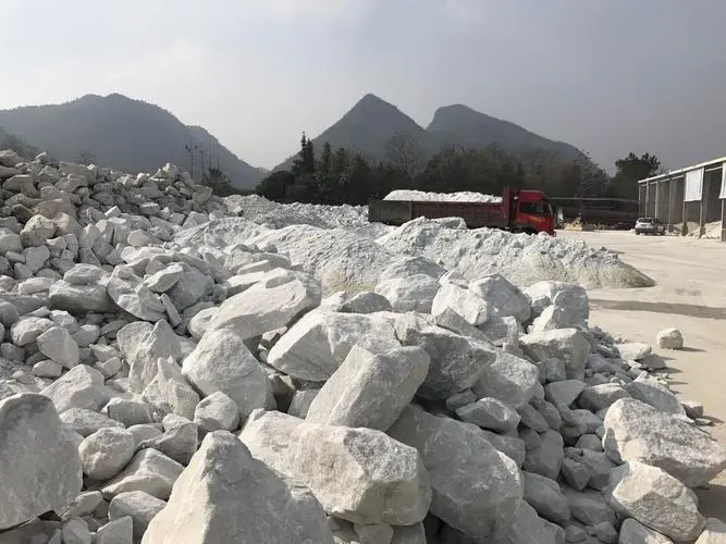 u=466034213,2397555061&fm=253&fmt=auto&app=138&f=JPEG.webp.png u=466034213,2397555061&fm=253&fmt=auto&app=138&f=JPEG.webp.png