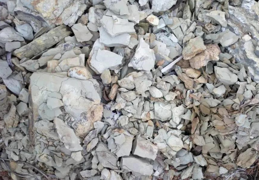 搜狗高速瀏覽器截圖20240817122006.png 搜狗高速瀏覽器截圖20240817122006.png