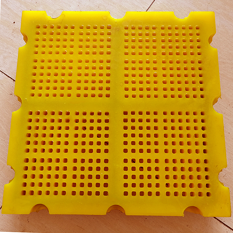 IMG20180502140634_看圖王.jpg IMG20180502140634_看圖王.jpg